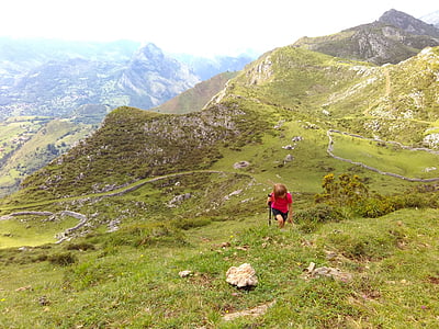 lapsi, Luonto, Mountain, Cantabria, maisema