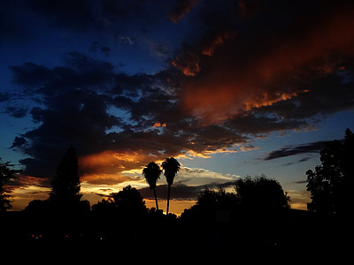sunset, horizon, clouds, palm trees, neighborhood, heavens, landscape