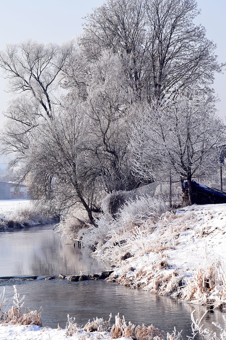 winter, winter mood, wintry, snowy, trees, romantic, river