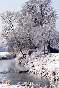 vinter, vinter stemning, vinterlige, sneklædte, træer, romantisk, floden