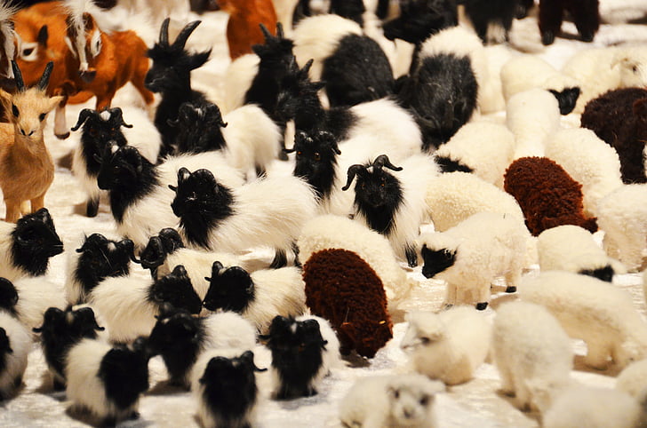 羊, 動物のぬいぐるみ, purry, schäfchen, ヤギ, おもちゃ, 群れ