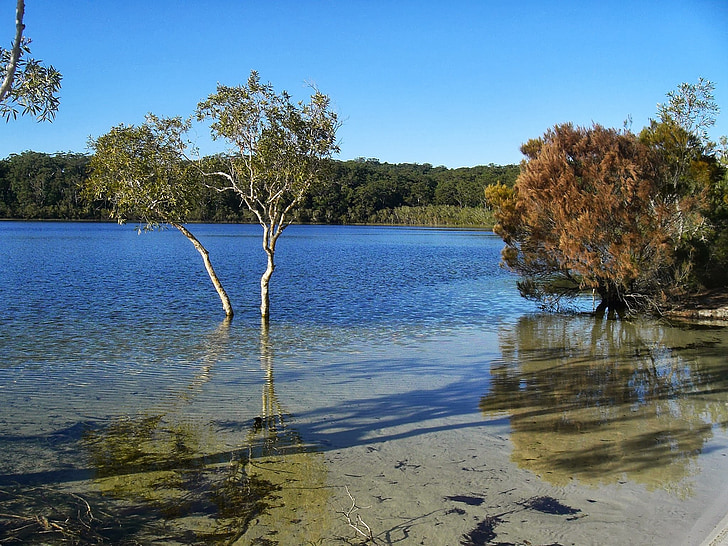 Fraser island, søen, vand, ride, vegetation, ø, Australien