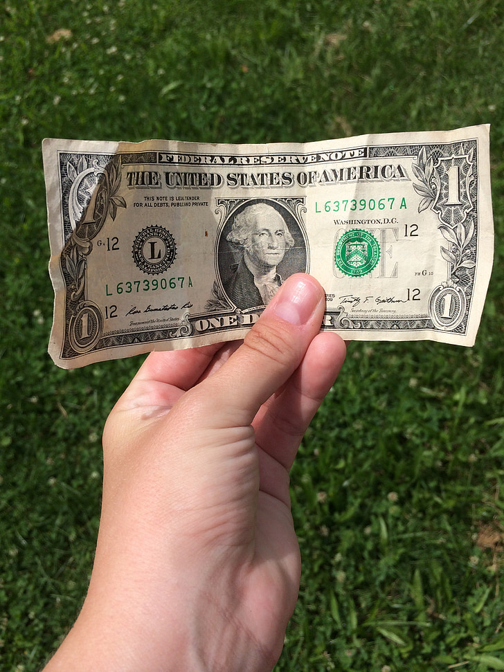 dollar bill, hand, grass, money, cash