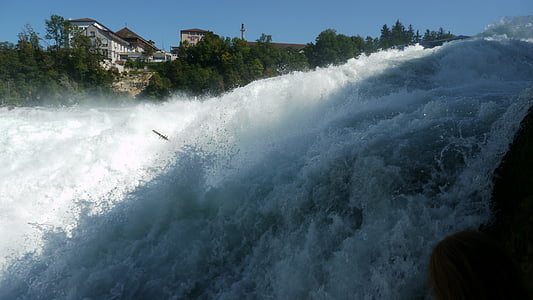 rhine falls, schaffhausen, waterfall, roaring