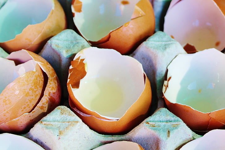 egg, eggshell, egg board, hen's egg, brown, shell, lime