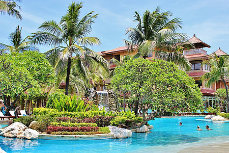 巴厘岛, 印度尼西亚, 在, 度假村, 度假, 旅游, 假日