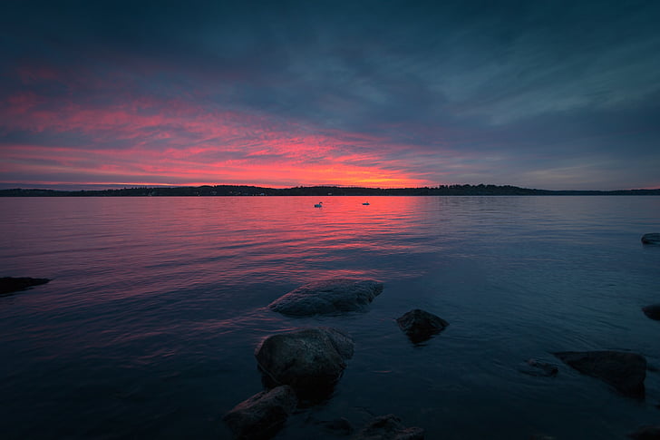 calm, body, water, golden, hour, photography, birds