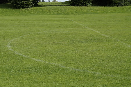 运动场, 足球场, 草, 绿色, 线条, 体育, 足球场