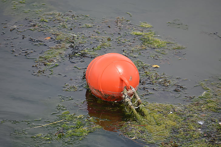 buoys, water, sea, marine, colors, shore, red