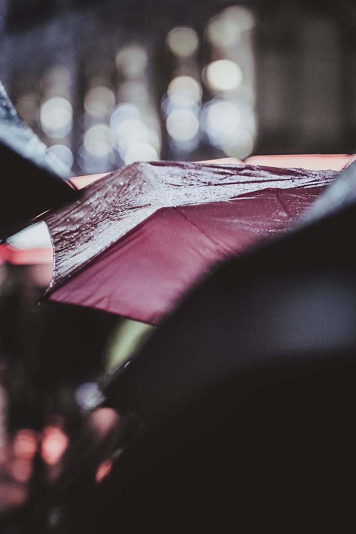 makro, Fotografie, červená, deštník, bokeh, mokrý, Selektivní fokus
