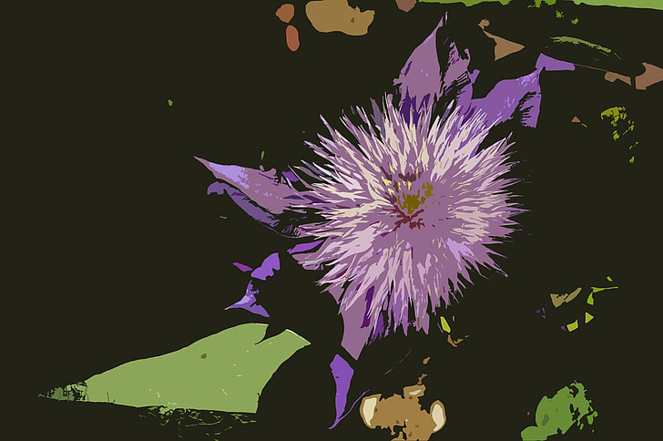 background, flower, clematis, black, green, purple, vector