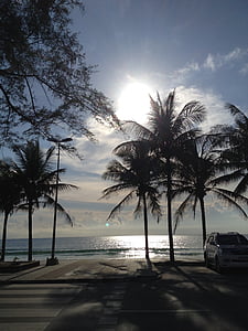 Phuket, pôr do sol, Tailândia, palmeira, mar, praia, árvore