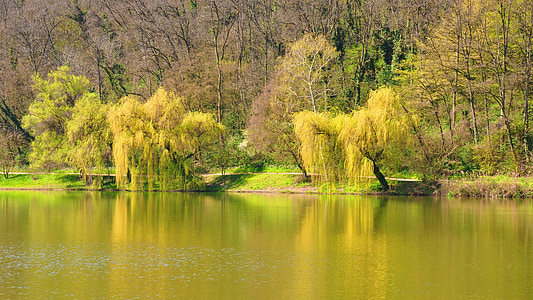Пролет, езеро, природата, Промо