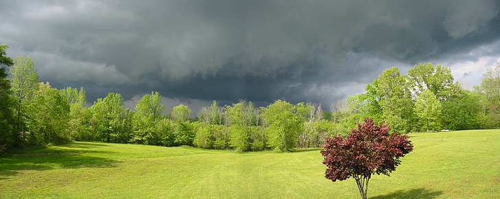 nature, storm, clouds, trees, beautiful