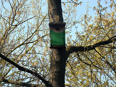 aviary, nest, nesting place, hatchery, bird feeder, nesting box, bird's nest