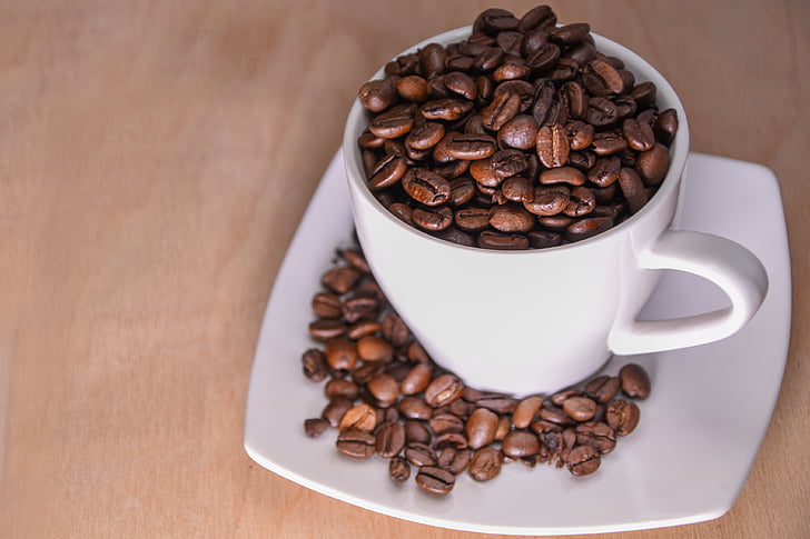 cup, grain coffee, coffee, still life, grain, potty, bean