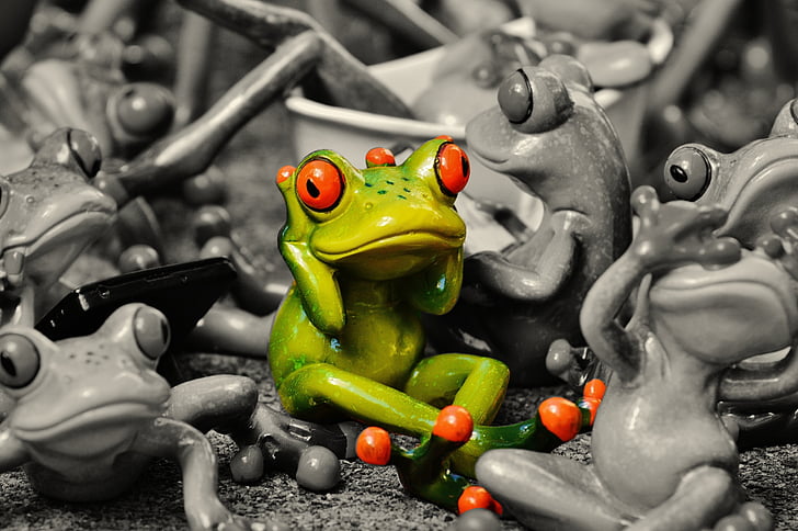 frogs, many, group, collection, cute, sweet, mass