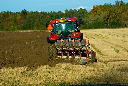 feltet, høst, plogen, traktor