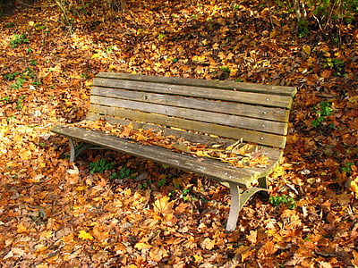 bank in the autumn, fall leaves, lone bank, loneliness, transience, autumn, base