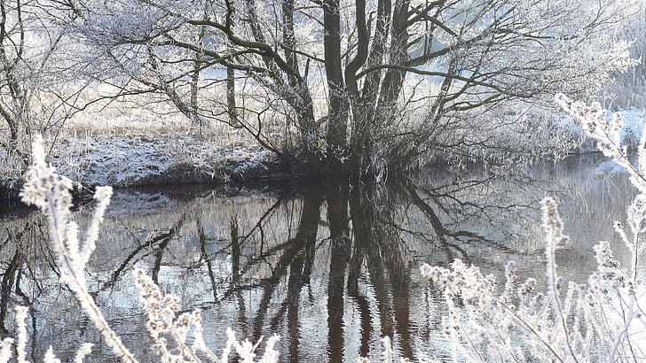 silent, hoarfrost, mirroring, winter, river, frost, nature
