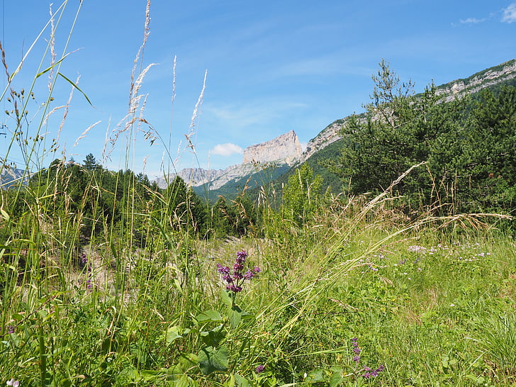 Mont aiguille, Mountain, Massif, Vercors, bjergkæde, Dauphiné-Alperne, westalpen