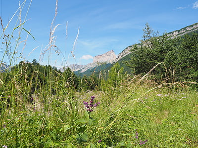 Mont aiguille, kalnų, masyvas, – Vercors, kalnų grandinė, Jouvenceaux, westalpen