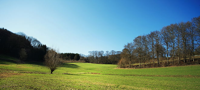 paisatge, bosc, clar, cel, blau, arbre, Baviera