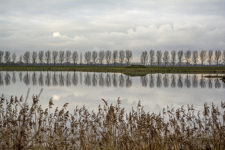 landscape, polder, dutch landscape, nature, polderroad, clouds