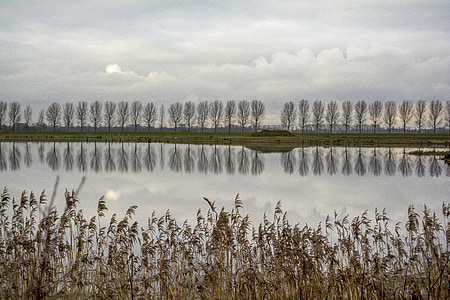 landskap, polder, holländska landskapet, naturen, polderroad, moln