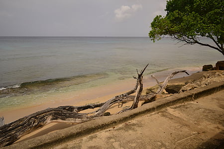 Barbadosas, jūra, pakrantė, paplūdimys, rojus, Gamta, Karibai