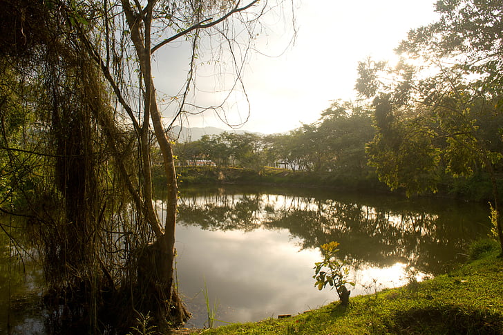 Lake, Colombia, cảnh quan, rừng, Thiên nhiên, cây, hoạt động ngoài trời