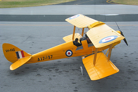 tiger moth, biplane, vintage, aircraft, de havilland, yellow