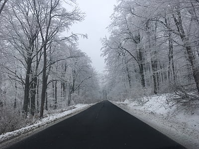 winter, highway, road conditions, weather, forest, forest road, transport