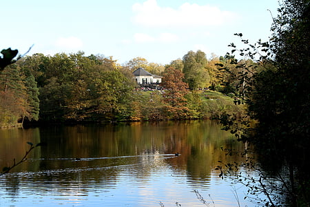 tó, ősz, természet, Medve-tó, Stuttgart, tükrözik