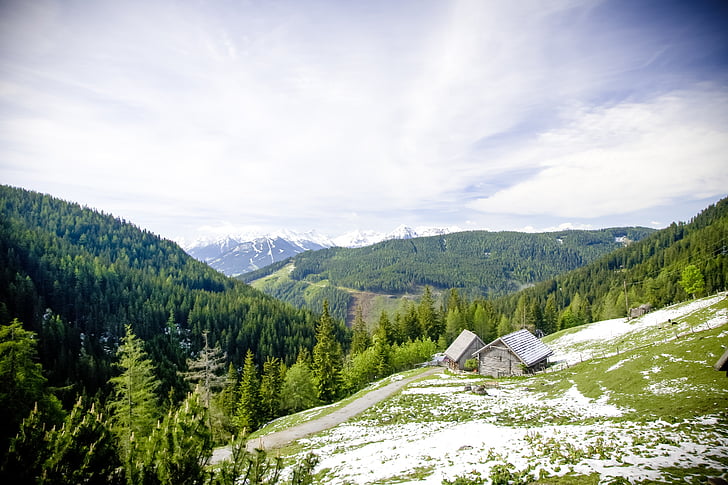 Alpine, núi, dãy núi, cảnh quan, núi hut, ngọn núi cao, màu xanh lá cây