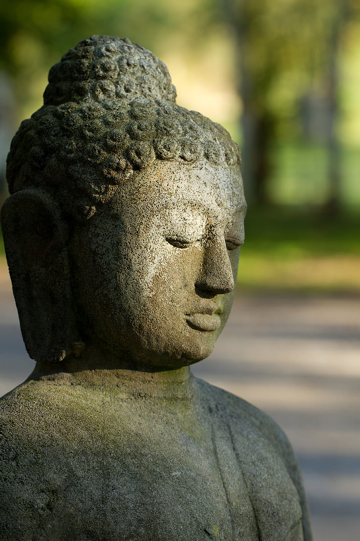 Budda, a kois karmienia kaczek, religia, Buddyzm, posąg, Azja, architektury ogrodowej