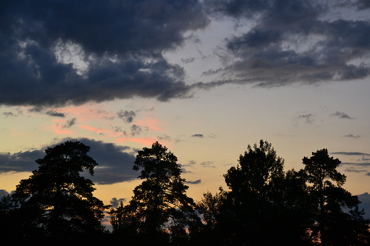 finski, oblaci, tamni oblaci, nebo, dramatično, drvo, silueta