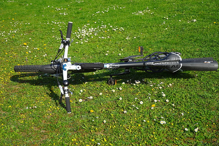 mountain bike, bike, bike ride, break, rest, meadow, cops