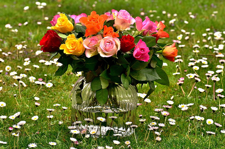 рози, букет, цветя, ваза, цветни, подарък, ливада