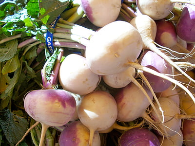 turnips, ผัก, ราก, มีสุขภาพดี, สดใหม่, อาหารมังสวิรัติ, อินทรีย์