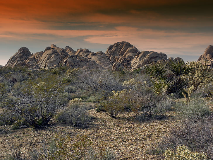 Mojave, desierto, California, rocas, cantos rodados, granito, arbustos