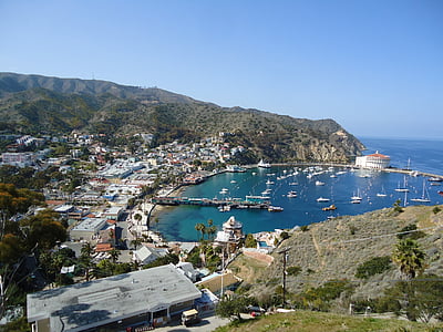 Catalina, Kalifornia, Bay, morze, linia brzegowa, Harbor, Latem