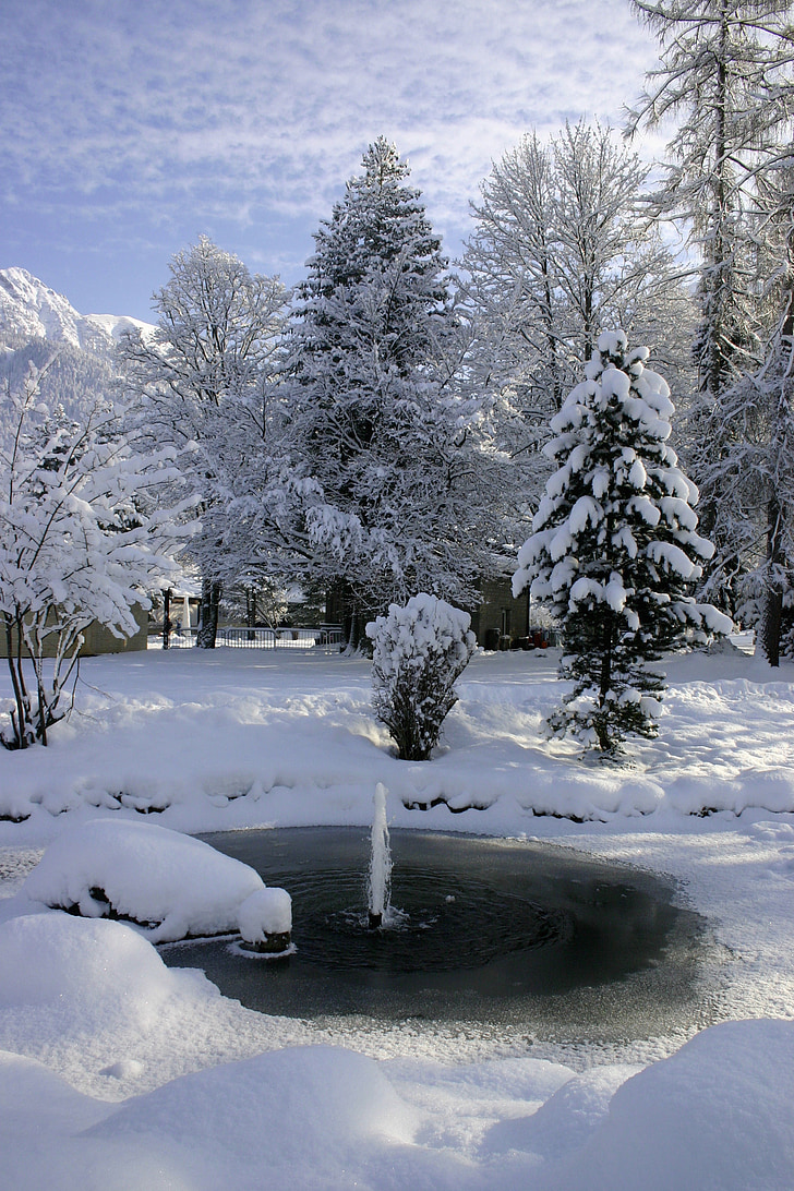 Oberstdorf, ijs, wintertijd, Icy, koude, bevroren, Frost
