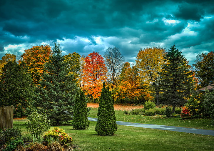 Vermont, lövverk, faller, hösten, landskap, träd, naturen
