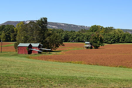 merah, Lumbung, tanah liat, bidang, pemandangan, pedesaan
