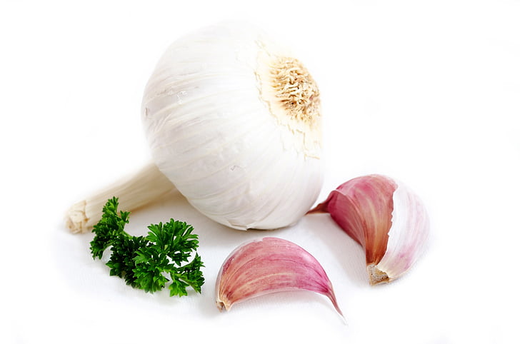 garlic, spice, food, parsley, white, green, organic