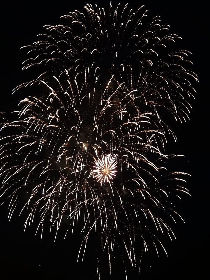 focs artificials, cap d any, canvi d'any, Salutacions d'any nou, pirotècnia, nit, comptes anuals