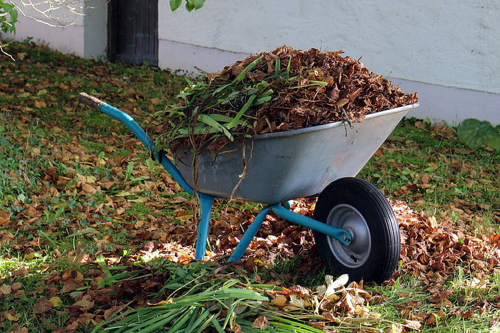 autumn, wheelbarrows, garden, work, leaves, gardening, transport