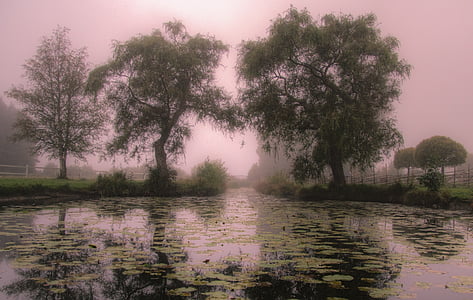 ranní karta, mlha, Švédsko, zrcadlový obraz, Příroda, trollsk, nálada
