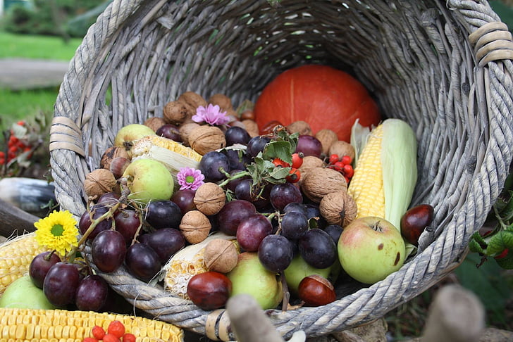ผลไม้, ฤดูใบไม้ร่วง, องุ่น, อาหาร, ตะกร้า, ธรรมชาติ, ความสดใหม่
